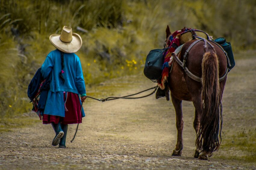 woman beside brown horse